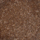 Anti-RNF157 Antibody