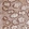 Anti-ASMTL Antibody