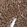 Anti-MBTD1 Antibody