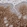 Anti-CYSRT1 Antibody