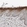 Anti-CYSRT1 Antibody