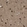 Anti-EGLN1 Antibody