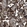 Anti-EGLN1 Antibody