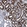 Anti-ATP6V0A1 Antibody