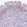 Anti-CYP24A1 Antibody