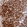 Anti-AEBP2 Antibody