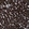 Anti-ECHS1 Antibody