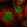 Anti-MSL1 Antibody