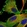 Anti-STXBP4 Antibody