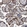 Anti-LRP1 Antibody