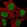 Anti-PCTP Antibody