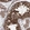Anti-FXR2 Antibody