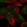 Anti-TRIM72 Antibody