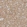 Anti-NEFM Antibody