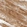 Anti-NSMAF Antibody