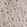 Anti-WWP1 Antibody