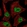 Anti-ZNF574 Antibody