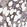 Anti-SRP68 Antibody