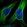 Anti-CCDC57 Antibody