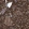 Anti-ATPAF2 Antibody