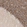 Anti-HEXDC Antibody