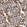 Anti-MRPL45 Antibody