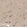 Anti-CCDC43 Antibody