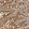 Anti-ARFGEF1 Antibody