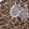 Anti-ATP6V1H Antibody