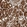 Anti-SCRN2 Antibody