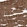 Anti-NAA15 Antibody