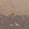 Anti-TRIM16 Antibody