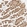 Anti-NT5C Antibody
