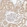Anti-NT5C Antibody