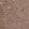 Anti-ZNF653 Antibody