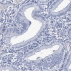 Immunohistochemical staining of human endometrium shows no positivity in glandular cells as expected.