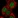 Anti-PYGO2 Antibody
