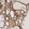Anti-GCLM Antibody