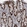 Anti-ESRP1 Antibody