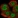 Anti-IPO8 Antibody