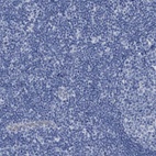 Immunohistochemical staining of human lymph node shows low expression as expected.