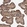 Anti-CHMP4C Antibody