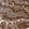 Anti-MYO1E Antibody