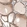 Anti-STC1 Antibody