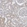 Anti-STC1 Antibody