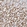 Anti-ATP6V1C1 Antibody
