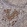 Anti-ZNF24 Antibody