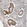Anti-PUS7 Antibody