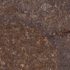 Immunohistochemical staining of human Tonsil shows strong cytoplasmic and membranous positivity in germinal and non-germinal center cells.