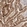 Anti-TRIM41 Antibody